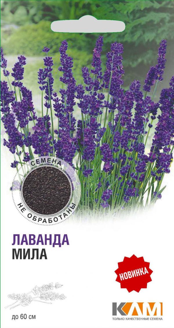 Лаванда Мила 0,2 гр